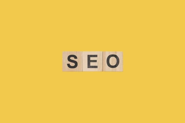 seo freelance digital marketer in palakkad